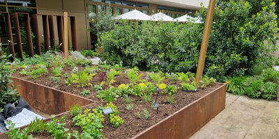 Jekka’s Blue Zone Garden for Riverstone