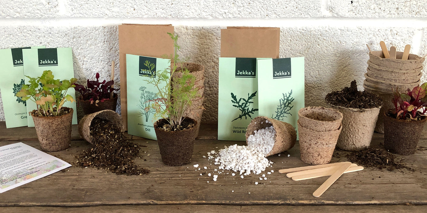 Indoor Herb Garden Starter Kit - Cooking Gifts for Women Gardener