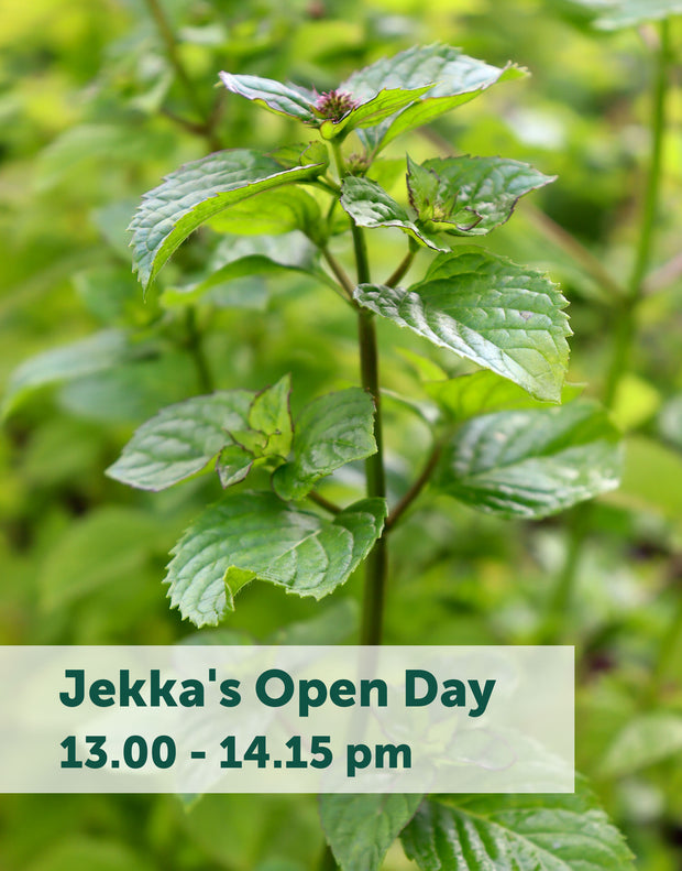 Jekka's Open Day E-Tickets- Friday 6th September 2024