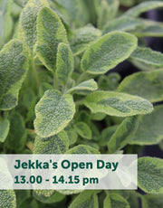 Jekka's Open Day E-Tickets- Friday 11th October 2024