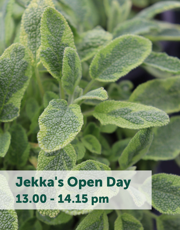 Jekka's Open Day E-Tickets- Friday 11th October 2024