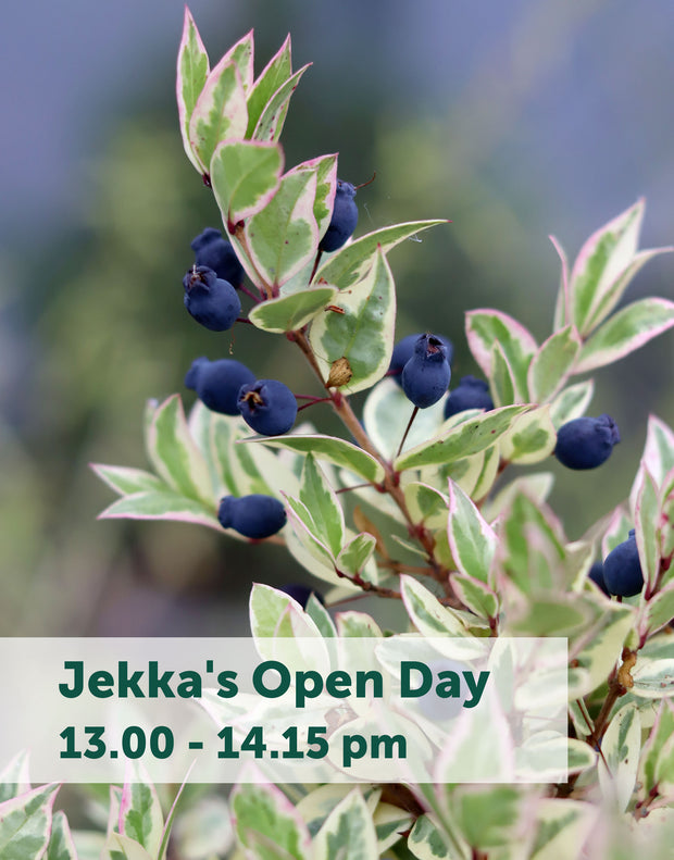 Jekka's Open Day E-Tickets- Saturday 12th October 2024