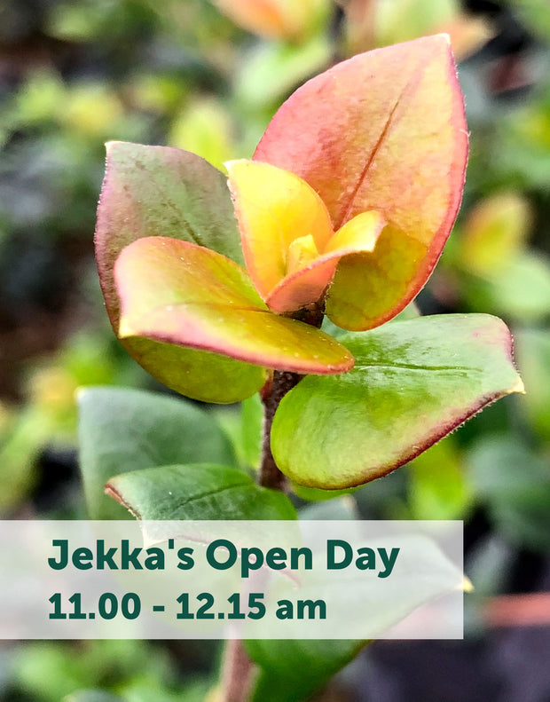 Jekka's Open Day E-Tickets- Saturday 12th October 2024