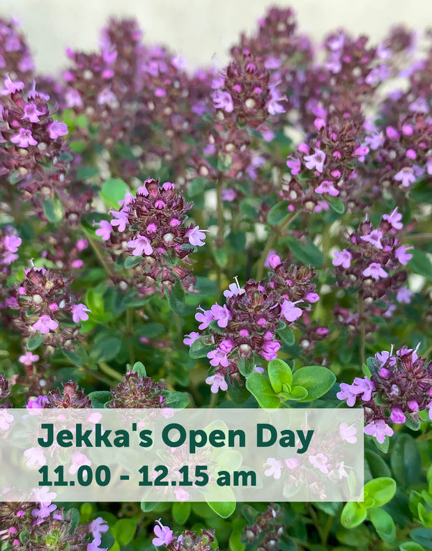 Jekka's Open Day E-Tickets- Friday 11th October 2024