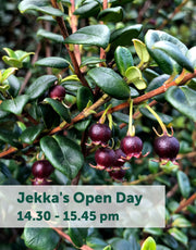 Jekka's Open Day E-Tickets- Saturday 12th October 2024