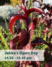 Jekka's Open Day E-Tickets- Friday 11th October 2024