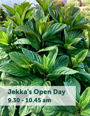 Jekka's Open Day E-Tickets- Saturday 12th October 2024