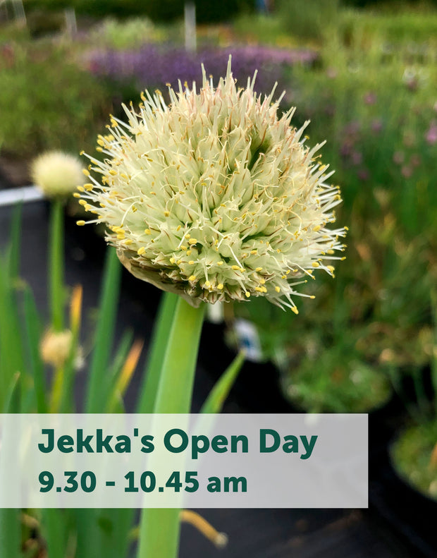 Jekka's Open Day E-Tickets- Friday 6th September 2024