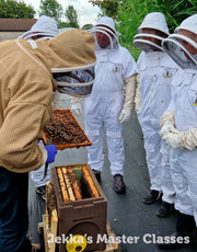 Beekeeping for Beginners Master Class, 11th April 2025