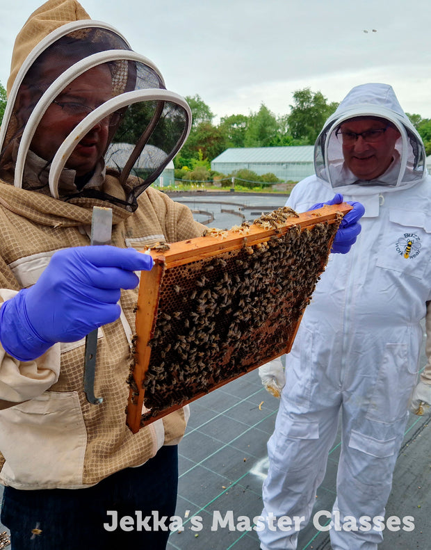 Beekeeping for Beginners Master Class, 11th April 2025