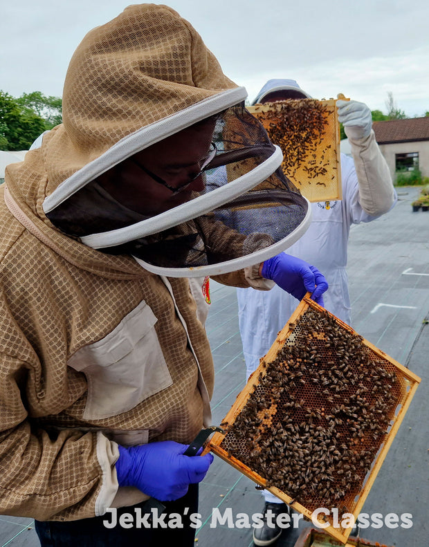 Beekeeping for Beginners Master Class, 11th April 2025