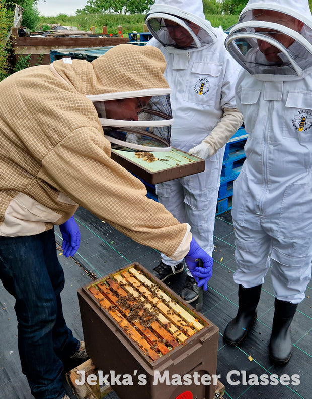 Beekeeping for Beginners Master Class, 11th April 2025