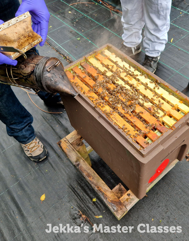 Beekeeping for Beginners Master Class, 11th April 2025