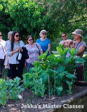 Medicinal Herbs for Stress & Anxiety Master Class, 16th May 2025