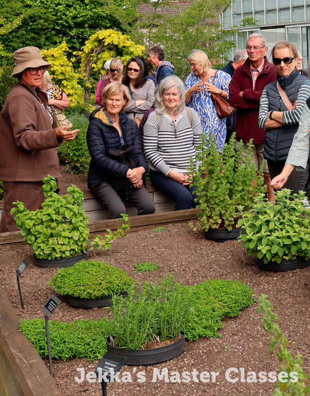 Medicinal Herbs for Stress & Anxiety Master Class, 16th May 2025