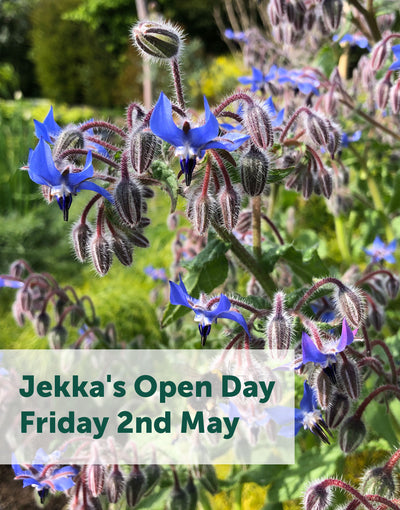 Jekka's Open Day E-Tickets- Friday 2nd May 2025