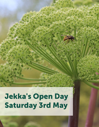 Jekka's Open Day E-Tickets- Saturday 3rd  May 2025