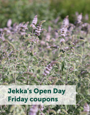 Jekka's Open Day E-Tickets- Friday 11th October 2024