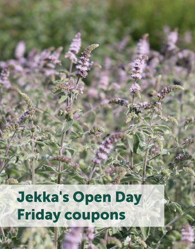 Jekka's Open Day E-Tickets- Friday 11th October 2024