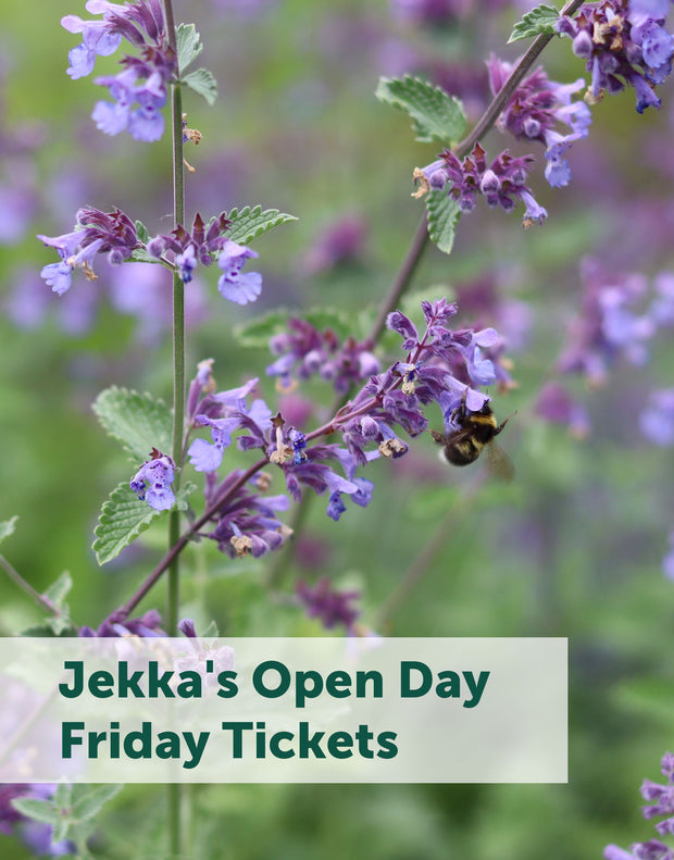 Jekka's Open Day E-Tickets- Friday 6th September 2024