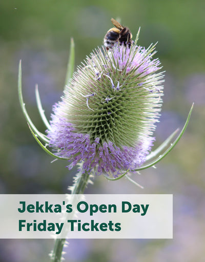 Jekka's Open Day E-Tickets- Friday 2nd August 2024