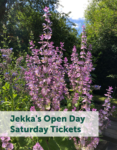 Jekka's Open Day E-Tickets- Saturday 3rd August 2024